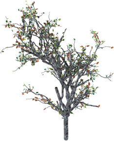 Tree - Chilopsis (383x318)