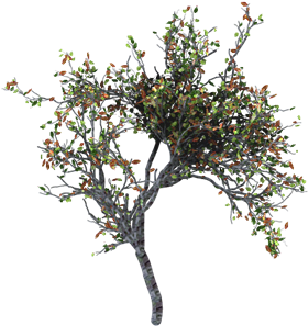 Tree - Tree (404x336)