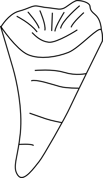 Clip Art (348x597)