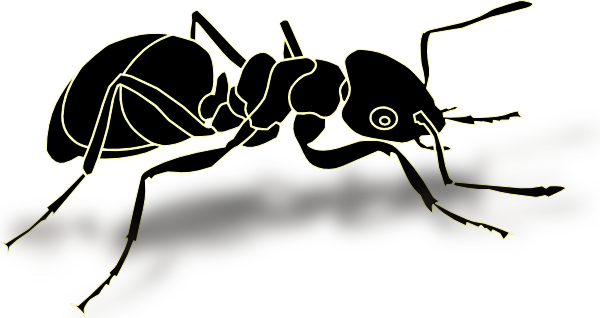 Ant Png Transparent (600x318)
