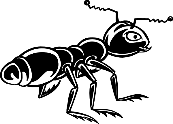 Ant Black And White (600x430)