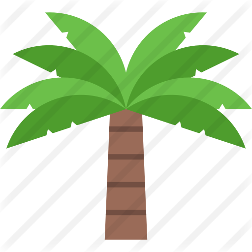 Palm Tree Icon Png - Tree (512x512)