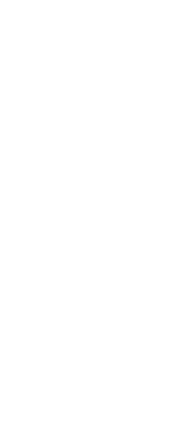 Carpet - Cleaning - Circle (718x1723)