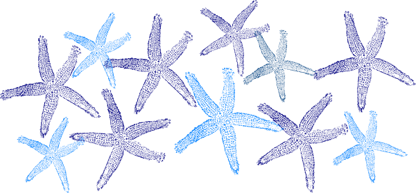 Clip Art (600x279)