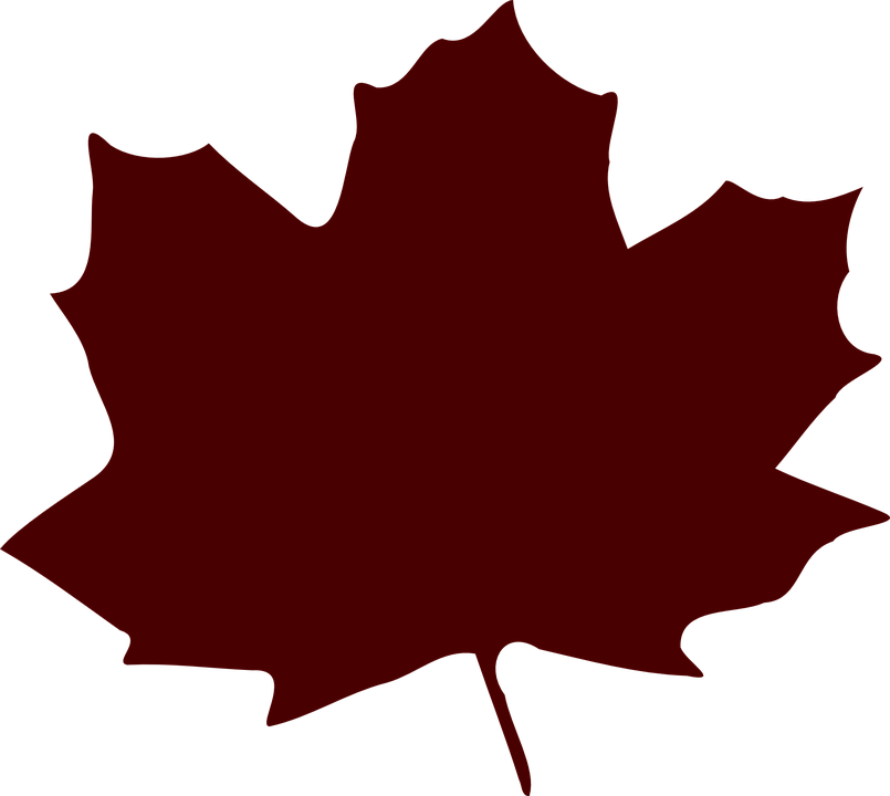 Leaf Purple Cartoon (805x720)