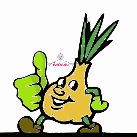 Sogan - Vegetable (480x479)