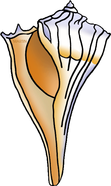Georgia State Sea Shell - New Jersey State Shell (400x648)