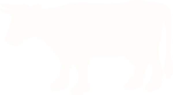 White Cow Silhouette Clip Art - White Cow Silhouette Clipart (600x329)