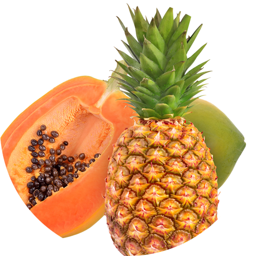 Papaya Pineapple - Papaya (500x500)
