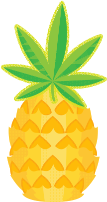 Pineapple - Pineapple (500x500)