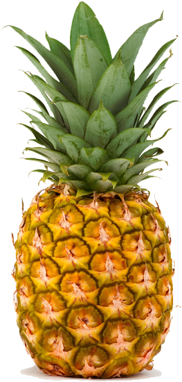 Pineapple - Whole Pineapple (800x555)