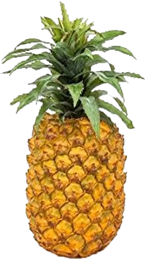 Pineapple - Fake Pineapple (904x904)