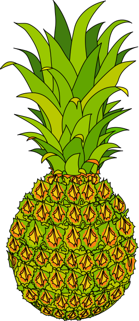 Pine Jam - Pine Jam (288x661)