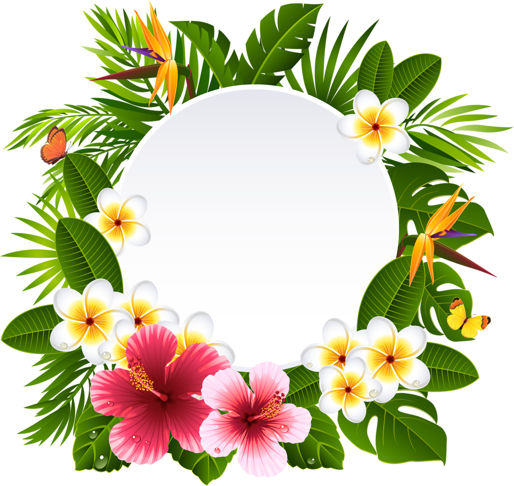 Tropical Frame Cliparts - Tropical Frames (4999x4728)
