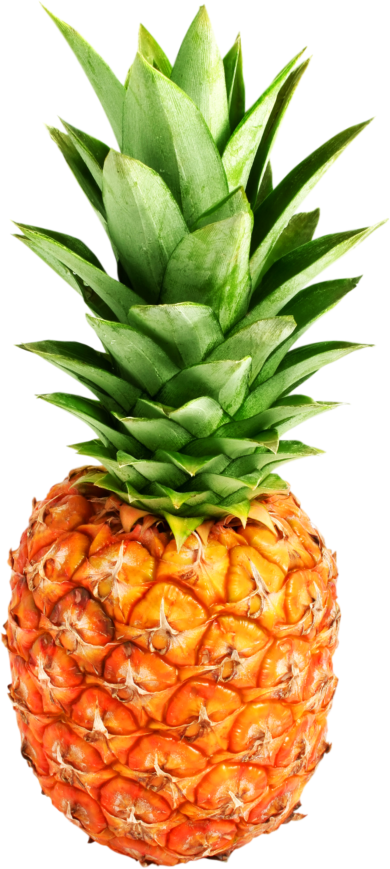 Pinapple - Pineapple Png (1280x2851)
