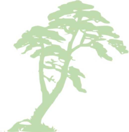 Jungle Trees Clipart (600x530)