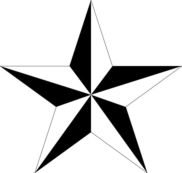 Polygon, Shape, Star, Zebra - 3d 5 Point Star (640x608)