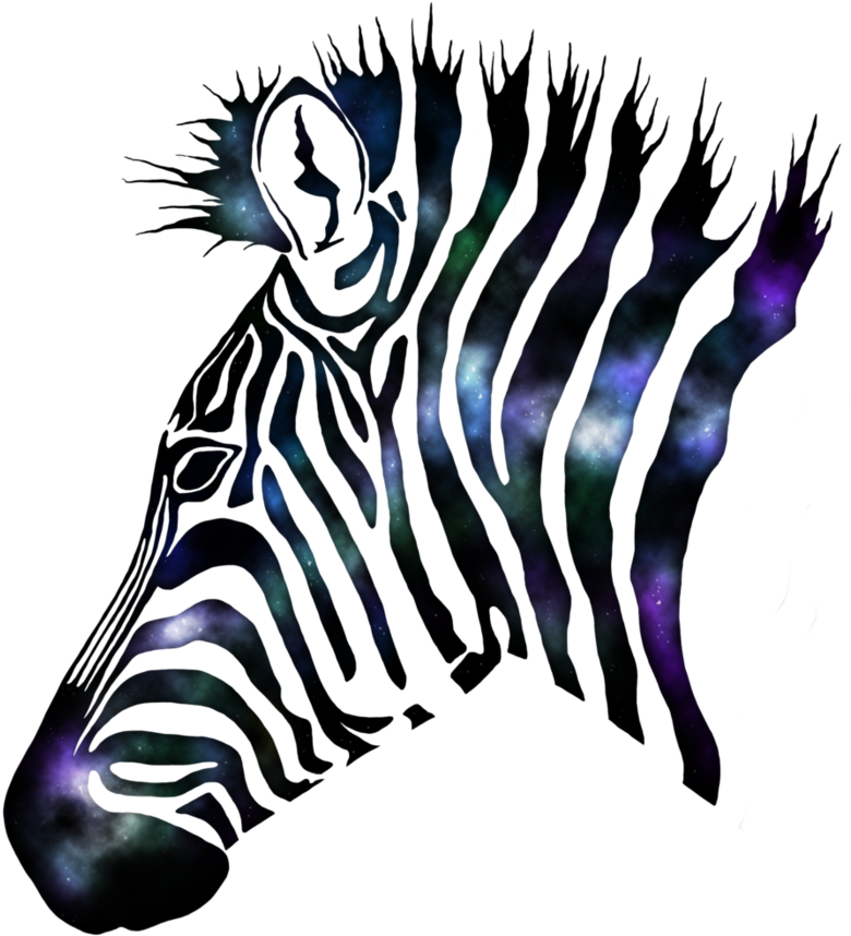 Galaxy Zebra - Unisex (894x894)