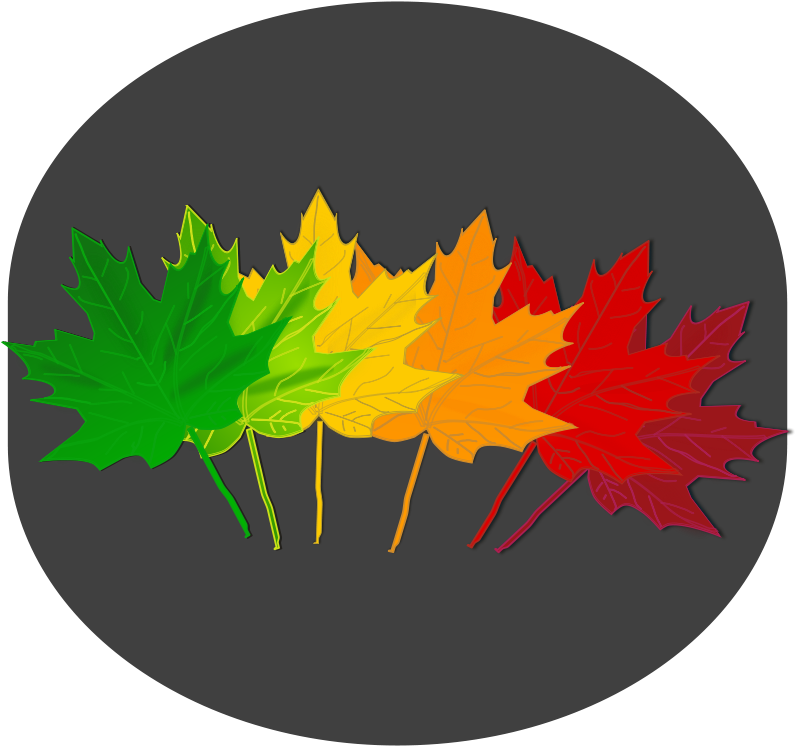 Icon (800x800)