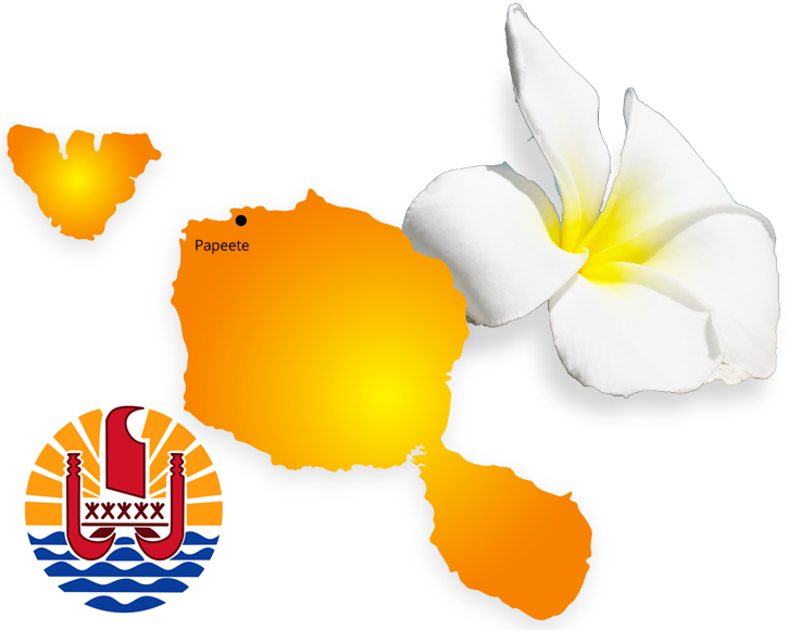 French Poly Img - Frangipani (725x580)