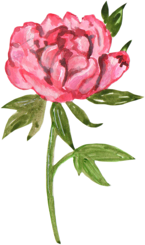 Author - Floribunda (476x800)