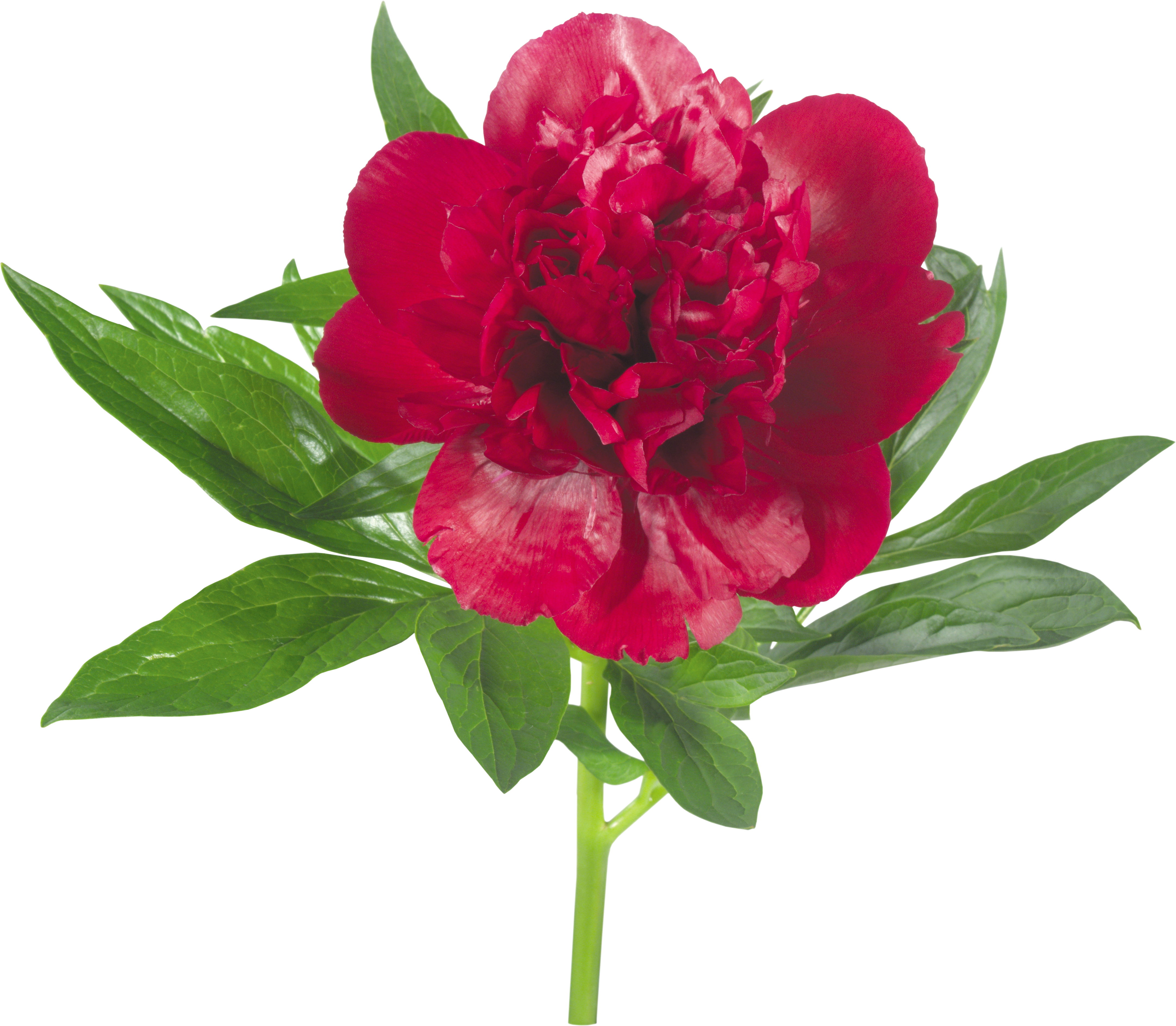 Картинка В Png - Red (4325x3770)