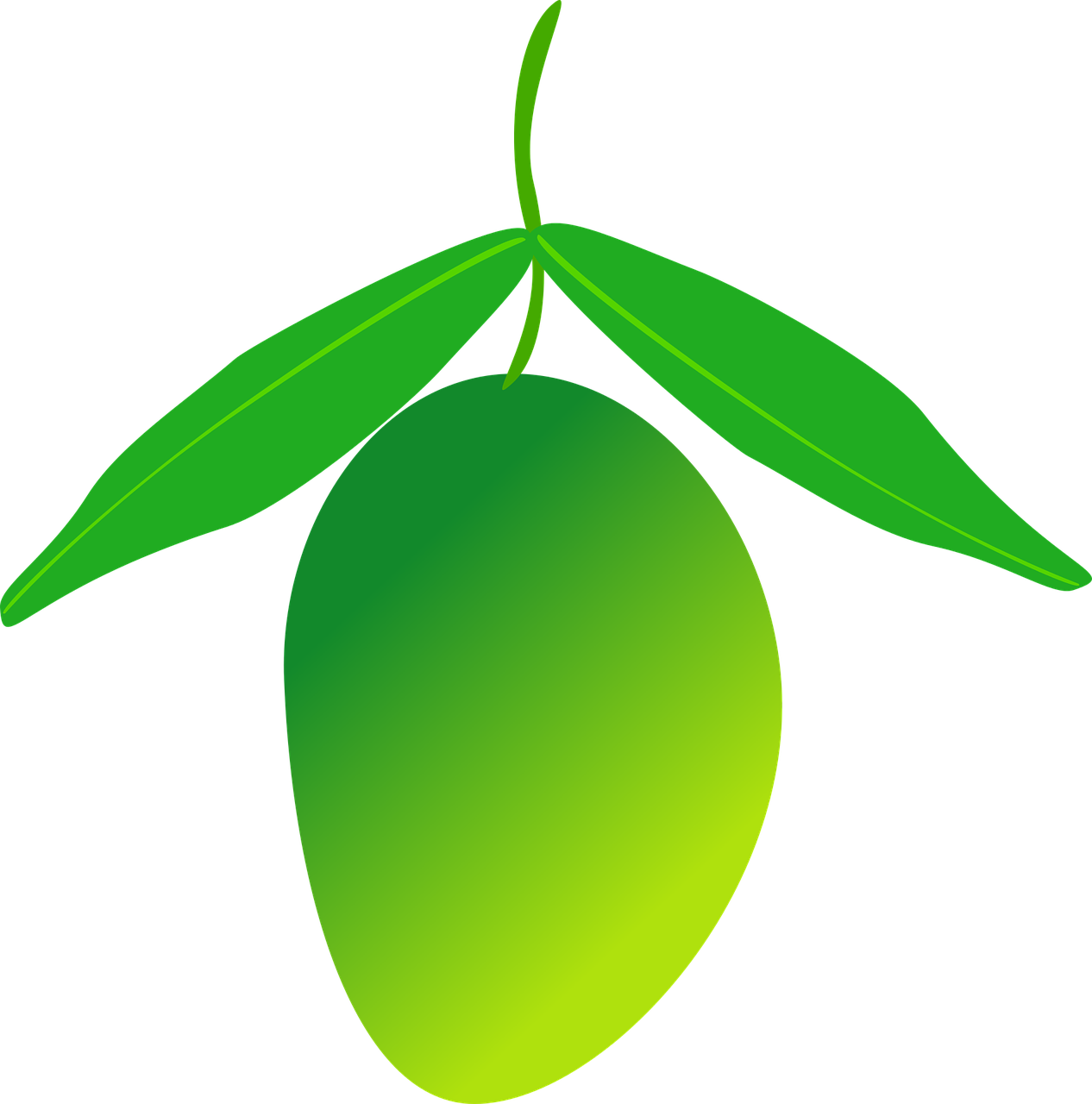 Buckeye Leaf Cliparts - รูป มะม่วง 1 ลูก (1899x1920)