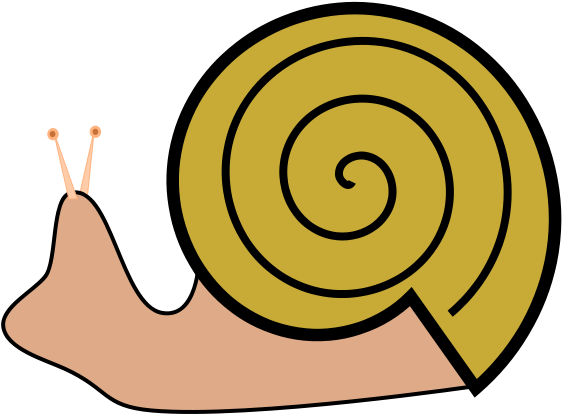 Snail (800x800)