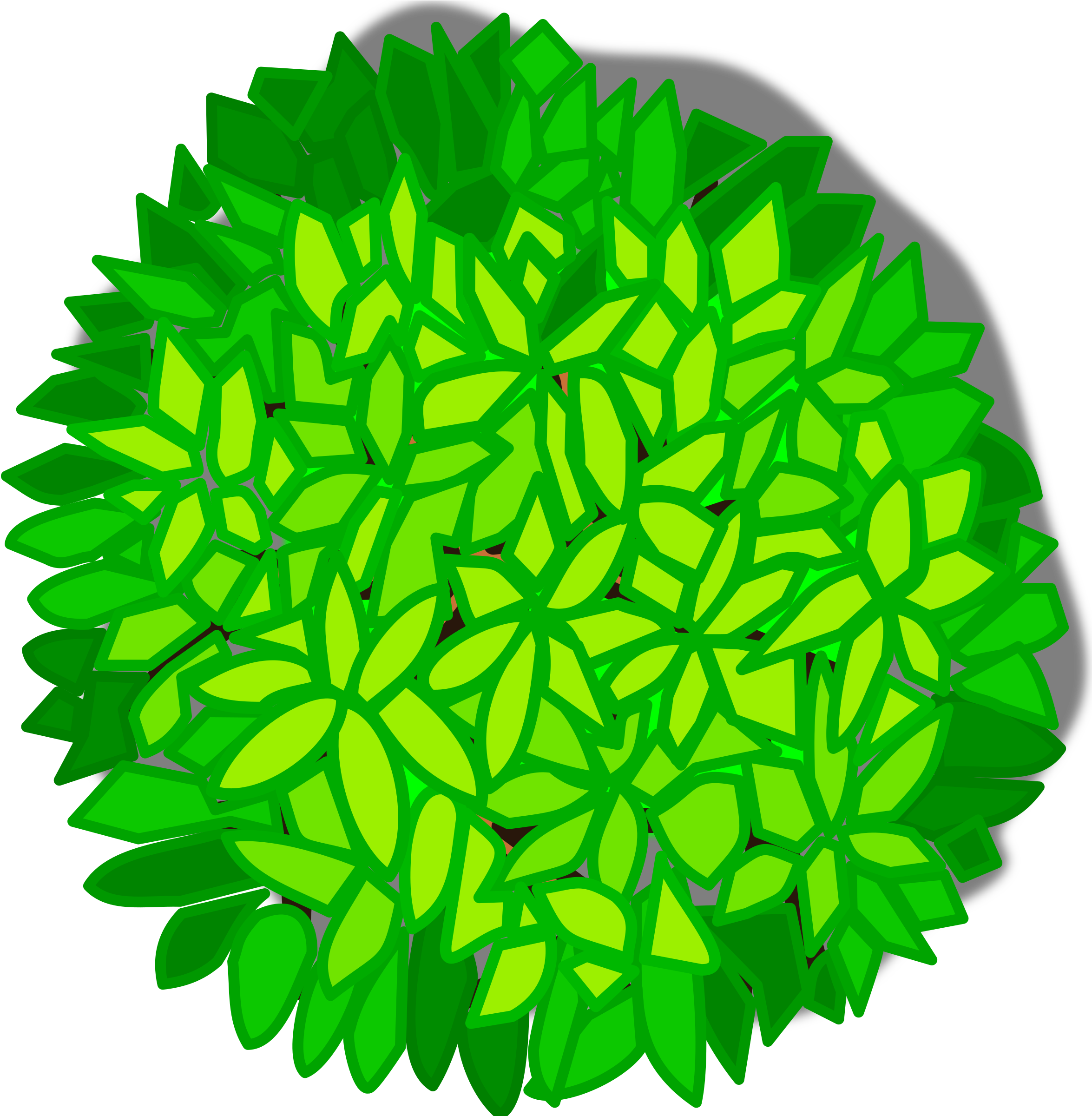 Tree Top View Drawing - Tree Top View Clipart (2400x2400)