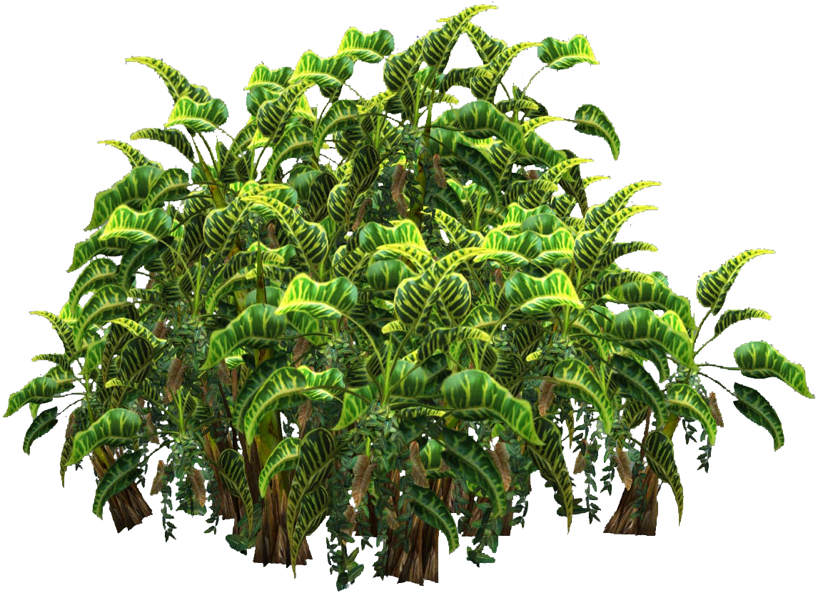 Free Icons Png - Bush Plant Transparent Background (1280x960)