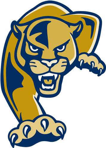 Fiu Baseball (500x500)