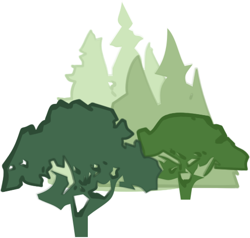 Guidelines For Developing And Evaluating Tree Ordinances - Tree (515x490)