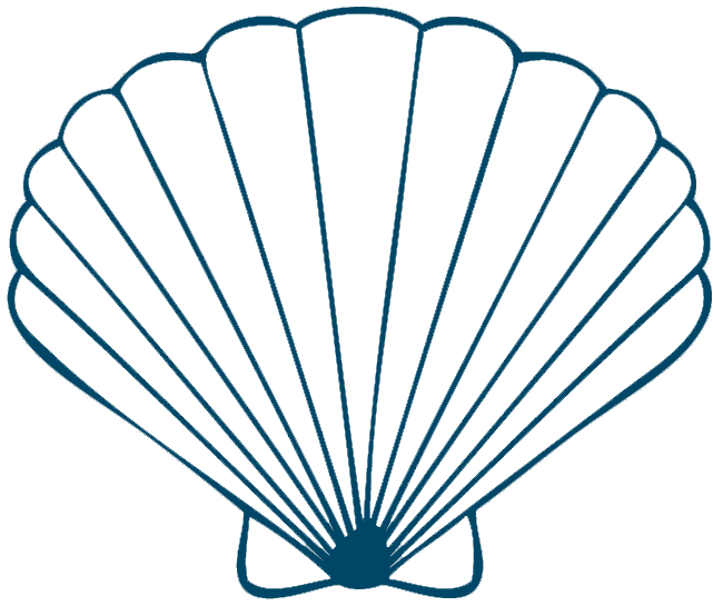 Sea Shells On Seashells Shells And Conch Clipart - Sea Shell Drawing (658x621)
