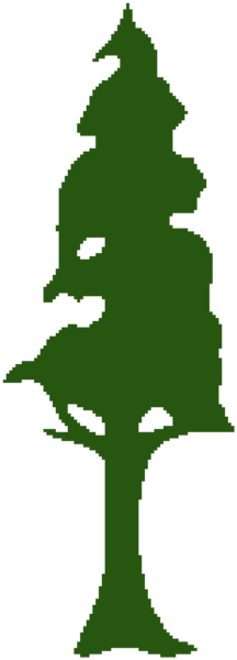 Redwood Tree Clip Art (216x600)