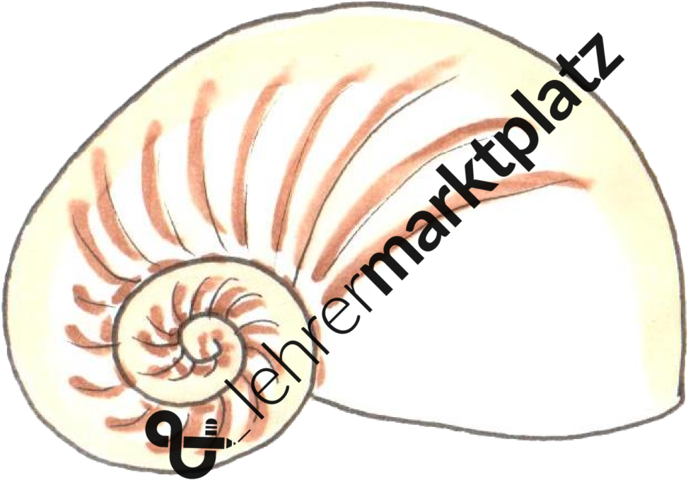 ‹ › - Nominal (1137x800)