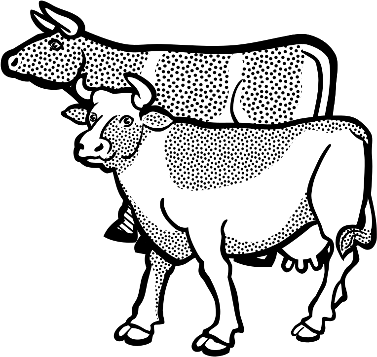 Medium Image - Dibujo De Vacas (800x774)