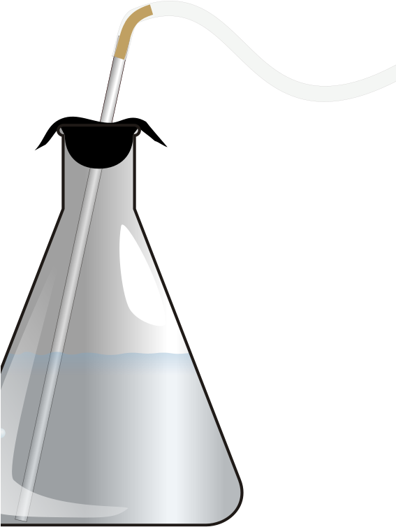 Bubbling Erlenmeyer Clip Art - Erlenmeyer Flask (566x800)