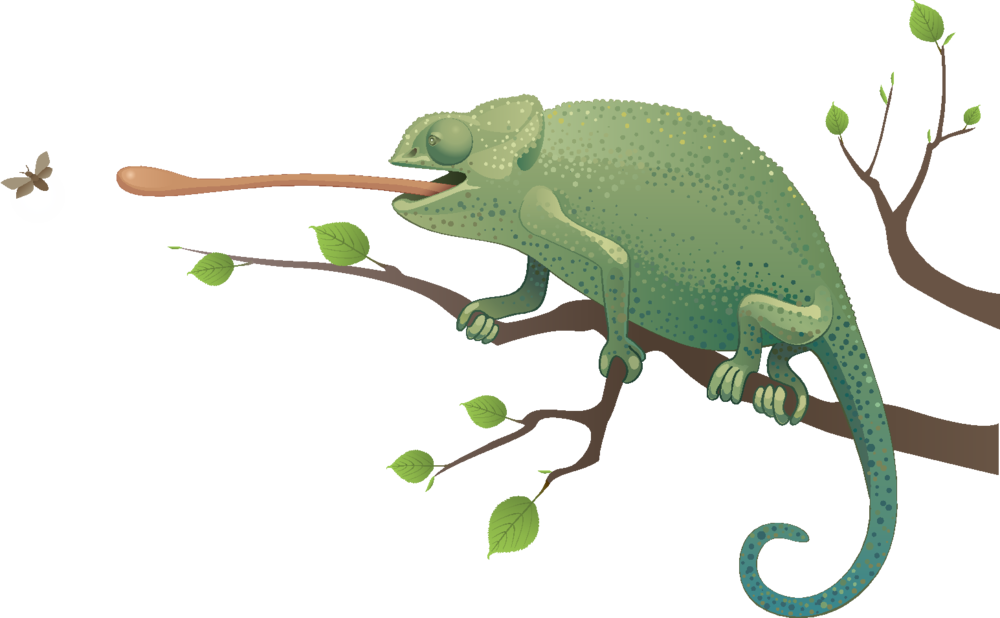   Chameleon Clip Art (1000x618)