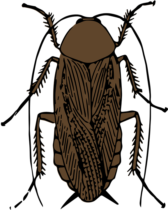 This Weeks Clay Art Theme - Cockroach (865x720)