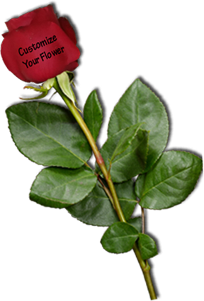 Delivery Available - Petal (288x426)