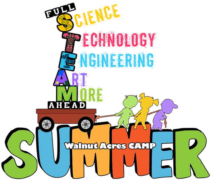 Summer Camp (860x702)