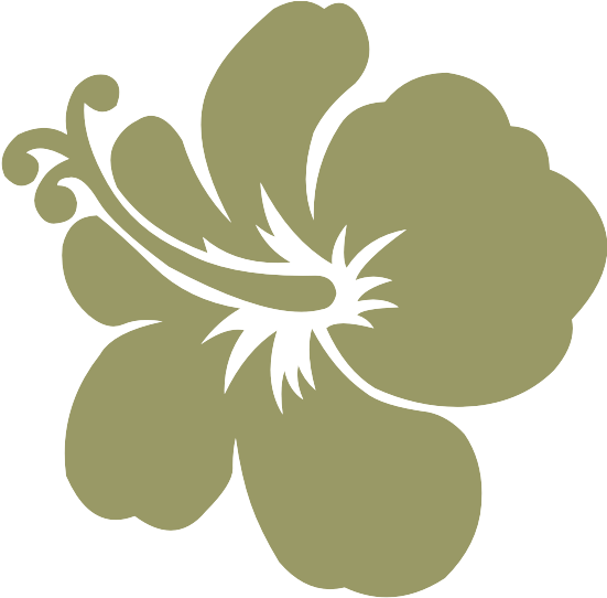 Ba Hibiscus - Hobby Vinyl Decal Hibiscus Hobby Decor (24 X 23,5 In. (600x600)