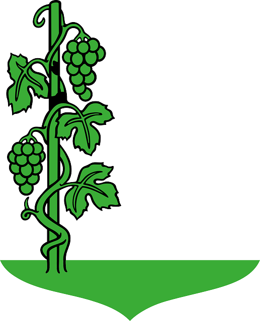 Fruit, Grapes, Drawing, Tree, Cartoon, Grape, Trees - Grape Tree Clipart (517x640)