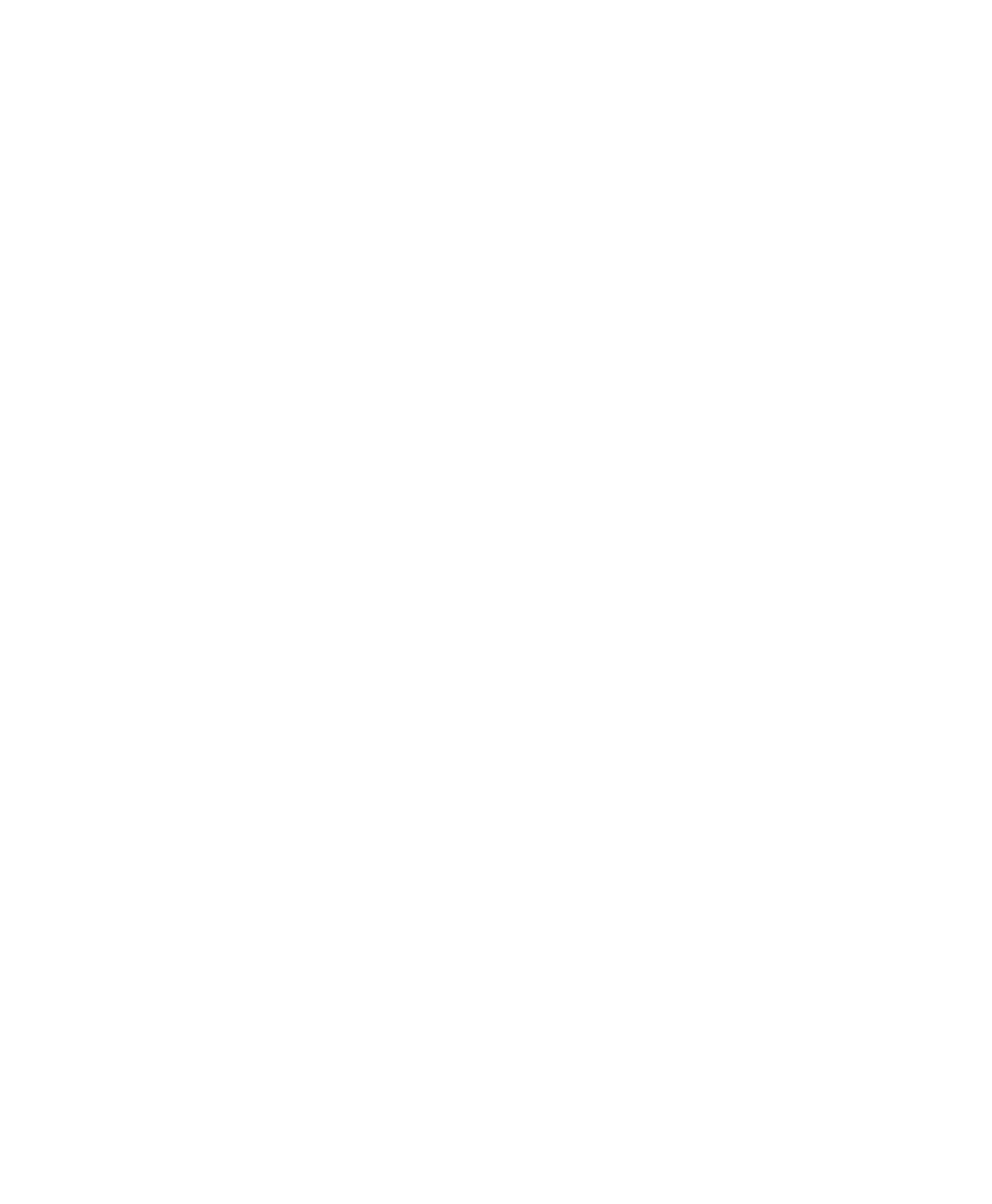 Silique (1040x1262)