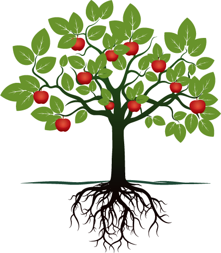 Fruit Tree With Roots (443x507)