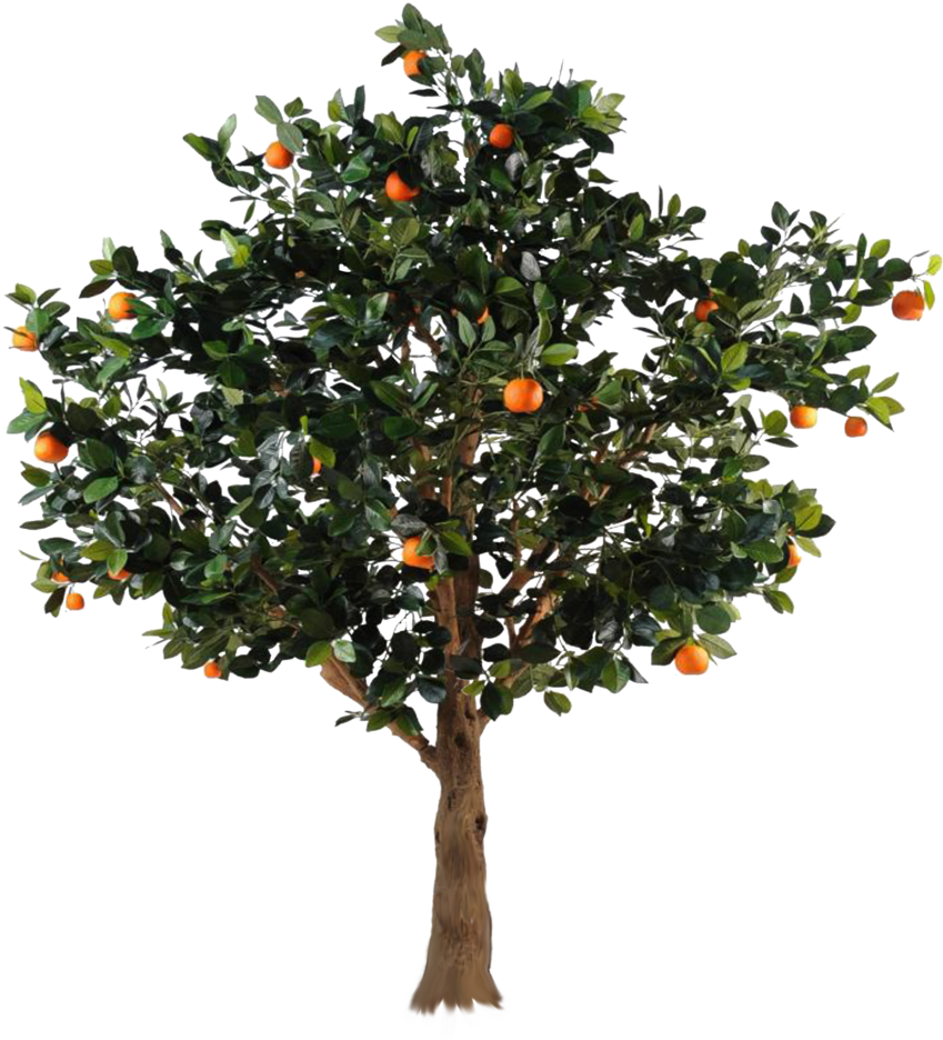 Tree - Professional Multifunctional Garden Tree Pruning Grafting (900x1000)