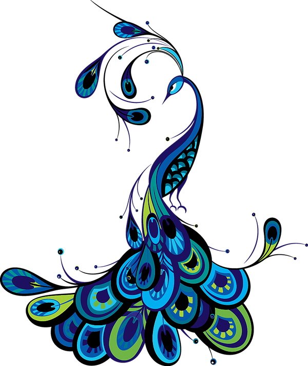 Peacock Vector Free Download (600x711)