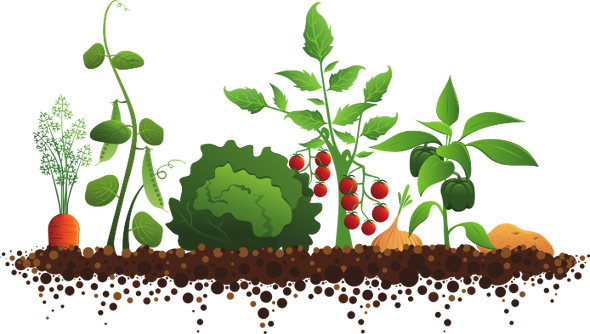 Community Garden (590x334)