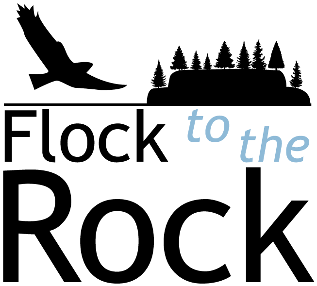 Rediker Logo (700x613)