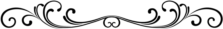 Compiled By George W - Design Single Line Border (800x212)